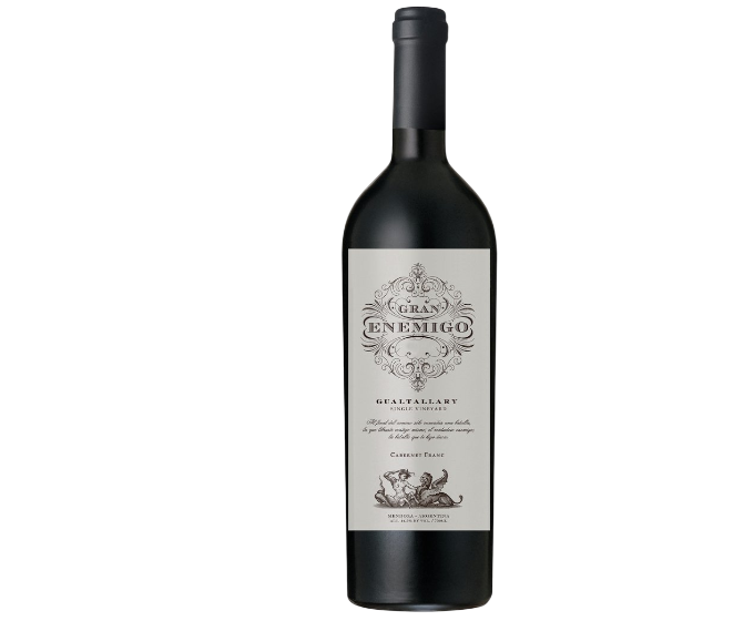 Bodega Aleanna Gran Enemigo Gualtallary Cabernet Franc 2021 750ml (99WA/98V) (Scan Correct Vintage)
